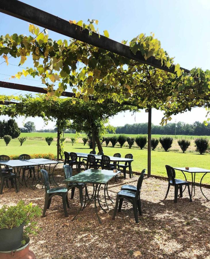 Agriturismo Le Colombaie Busseto Eksteriør billede